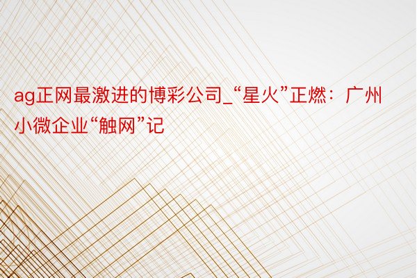 ag正网最激进的博彩公司_“星火”正燃：广州小微企业“触网”记