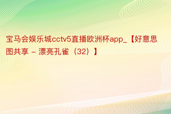 宝马会娱乐城cctv5直播欧洲杯app_【好意思图共享 - 漂亮孔雀（32）】