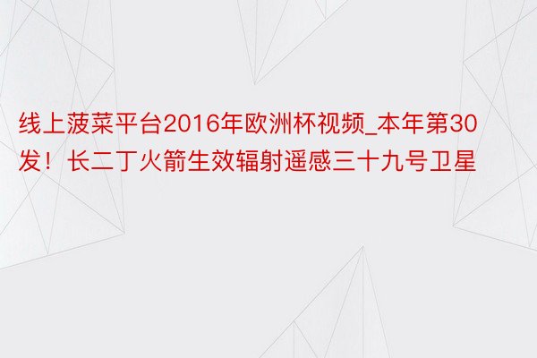 线上菠菜平台2016年欧洲杯视频_本年第30发！长二丁火箭生效辐射遥感三十九号卫星