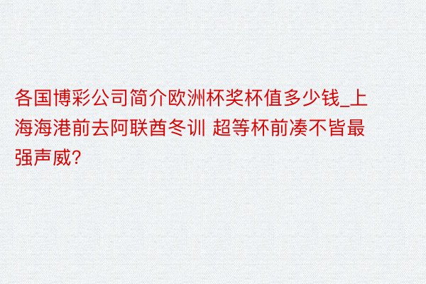 各国博彩公司简介欧洲杯奖杯值多少钱_上海海港前去阿联酋冬训 超等杯前凑不皆最强声威？