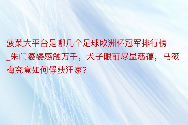 菠菜大平台是哪几个足球欧洲杯冠军排行榜_朱门婆婆感触万千,犬子眼前尽显慈蔼,马筱梅究竟如何俘获汪家?